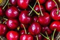 Red cherries in basket, ÃÂherry basket, red ÃÂherries on wooden